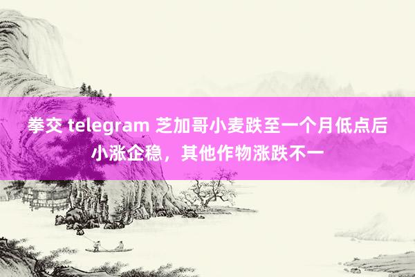 拳交 telegram 芝加哥小麦跌至一个月低点后小涨企稳，其他作物涨跌不一