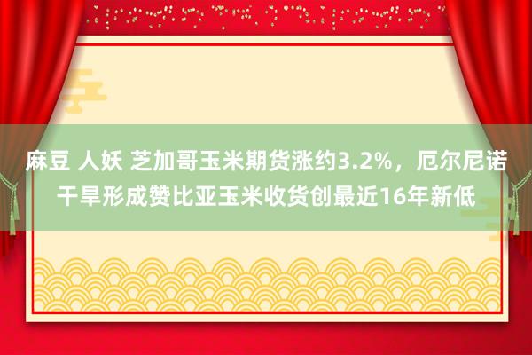 麻豆 人妖 芝加哥玉米期货涨约3.2%，厄尔尼诺干旱形成赞比亚玉米收货创最近16年新低