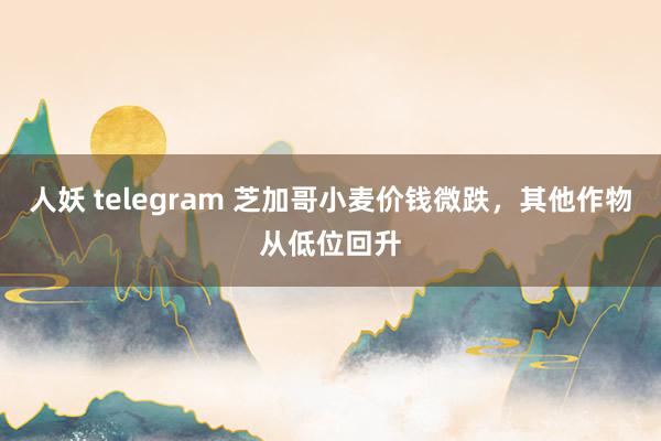 人妖 telegram 芝加哥小麦价钱微跌，其他作物从低位回升