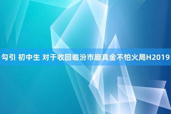 勾引 初中生 对于收回临汾市磨真金不怕火局H2019